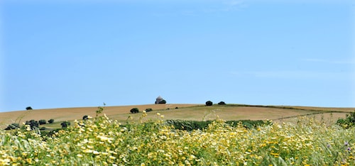 Andalusian_Countryside_500-min
